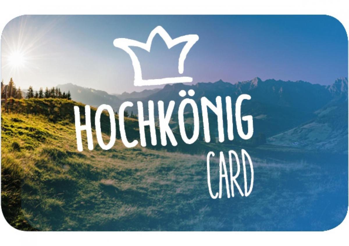 شقة Haus Schneeberg Mit Hochkoenig Card Mühlbach am Hochkönig المظهر الخارجي الصورة