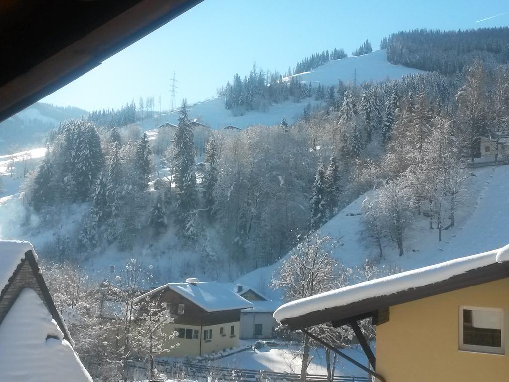 شقة Haus Schneeberg Mit Hochkoenig Card Mühlbach am Hochkönig المظهر الخارجي الصورة
